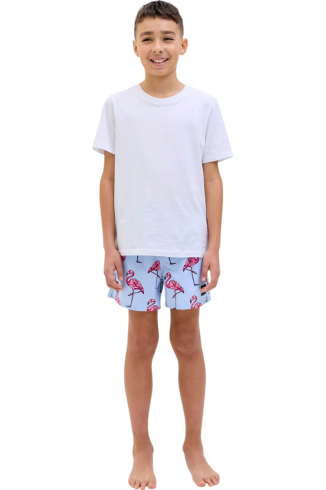 Short JACK &JONES Maui Swim Novelty AOP JNR - 12273843-Cashmere Blue [5]