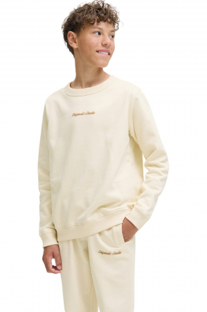ÎMBRĂCĂMINTE - Bluza JACK &JONES Norrebro EMB JNR - 12284064-Antique White