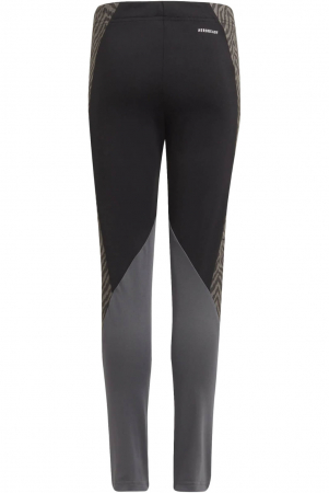 Colanti Adidas Designed 2 Move - GT1413 [1]