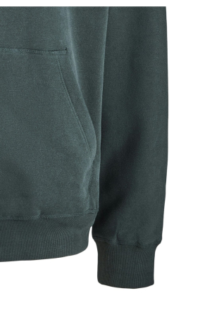 Hanorac JACK &JONES Bleeker Branding Hood PLS - 12287057-Forest River [4]