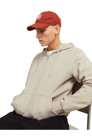 Hanorac JACK &JONES Corp Logo Small Print Zip Hood - 12265177-Moonbeam [4]