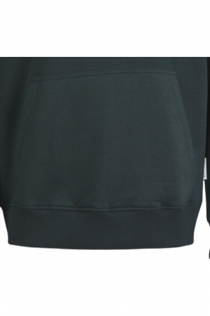 Hanorac JACK &JONES Vesterbro Newton - 12265766-Forest River [3]