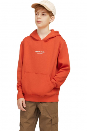 ÎMBRĂCĂMINTE - Hanorac JACK &JONES Vesterbro PO Hood JNR - 12242469-Summer Fig