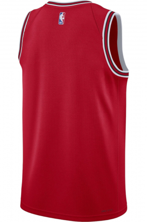 Maieu NIKE Chicago Bulls Icon - DN2131-657 [1]