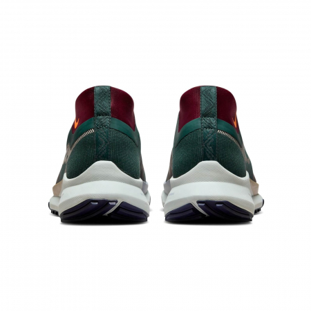 NIKE Pegasus Trail 4 Gore-Tex - DJ7926-302 [5]