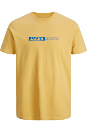 ÎMBRĂCĂMINTE - Tricou JACK &JONES Neo JNR - 12255503-Jojoba