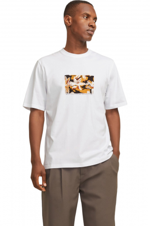 img-attr
