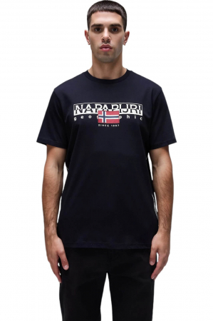 TRICOURI - Tricou Napapijri Aylmer - HTO041