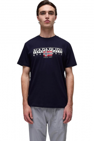 BĂRBAŢI - Tricou Napapijri Aylmer - HTO176