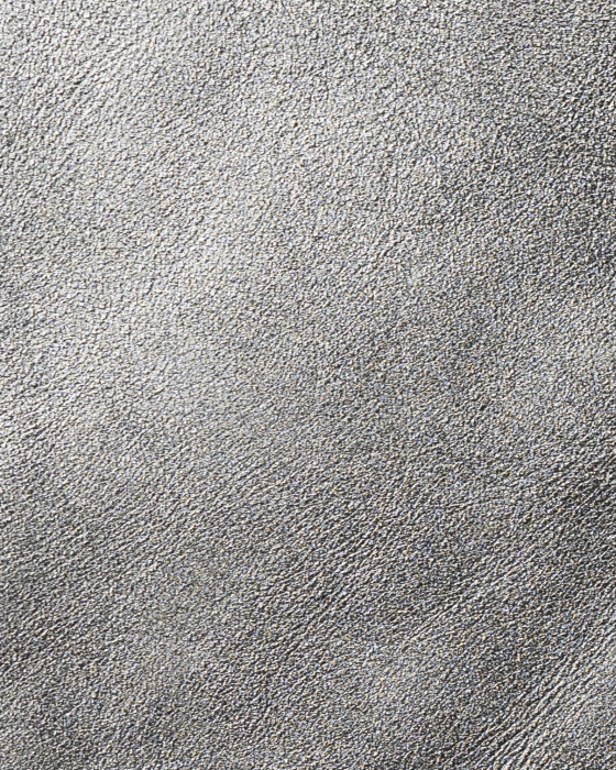 ARGINTIU 498 [1]