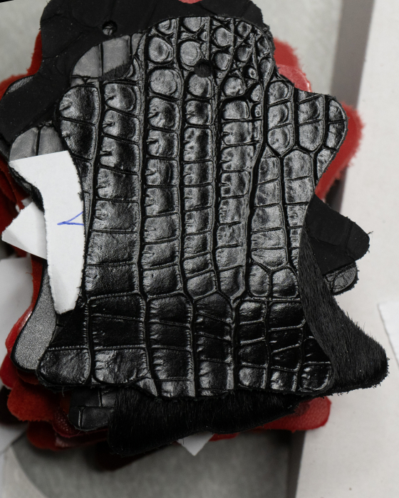 NEGRU SARPE 2005 [2]