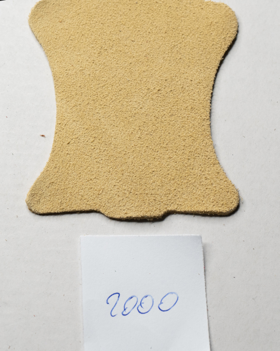 BEJ VELUR 2000 [2]