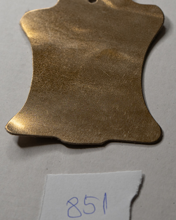 AURIU 851 [2]
