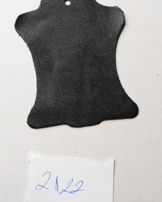 NEGRU 2122 [2]