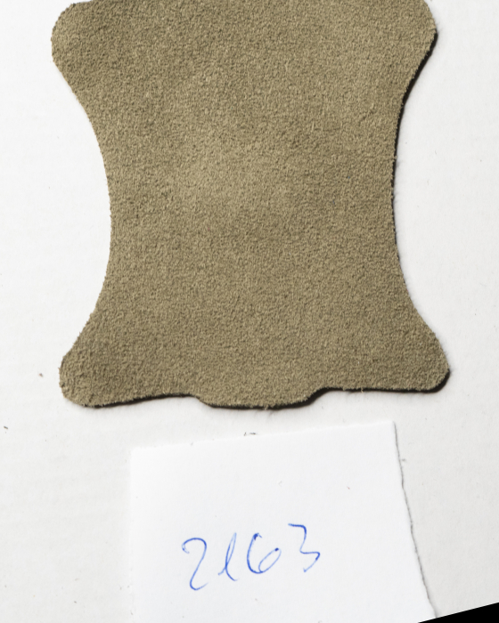 BEJ VELUR 2163 [2]