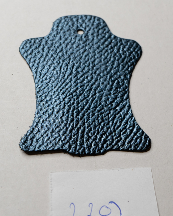 ALBASTRU 2202 [2]