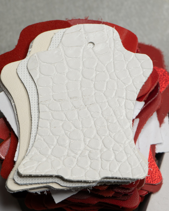Alb croco 743 [2]