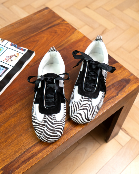 CA 2 PM Pony Zebra [3]