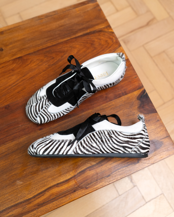 CA 2 PM Pony Zebra [1]