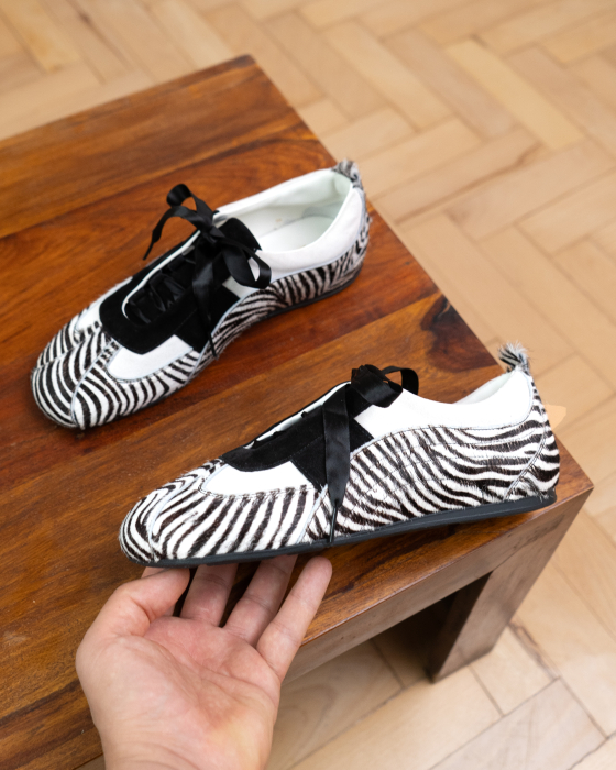 CA 2 PM Pony Zebra [2]