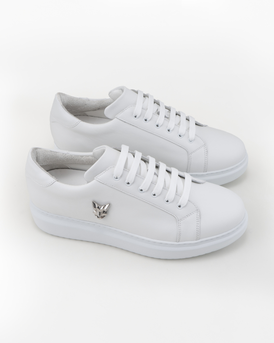 Santony pure white wolf  silver [3]