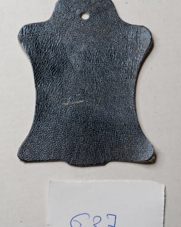 ALBASTRU 637 [1]