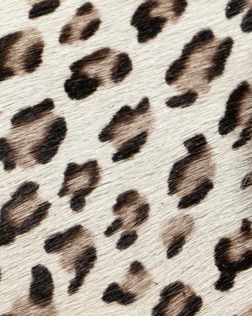 Bej - BEJ ANIMAL PRINT 2194
