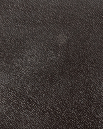 Culori Piele - GRI 2170