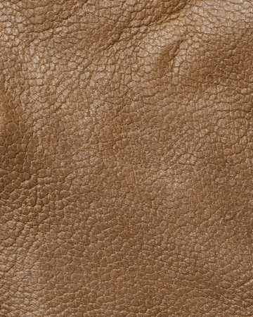 Culori Piele - MARO 2099