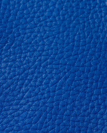 Albastru - Albastru bizon 348