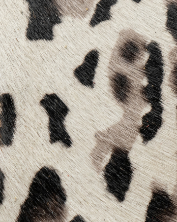 Bej - BEJ ANIMAL PRINT 2194