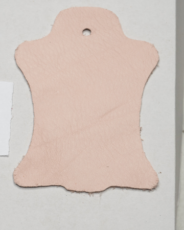 PIELE ROZ 2234 [1]