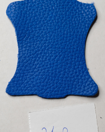 Albastru bizon 348 [1]