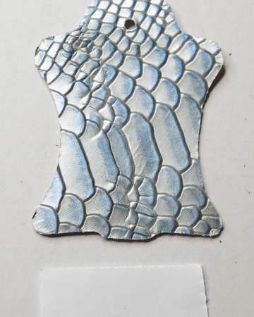 Argintiu cu solzi albastri 728 [1]