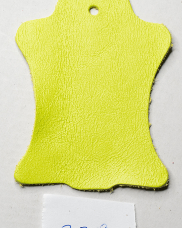 Galben 339 [1]