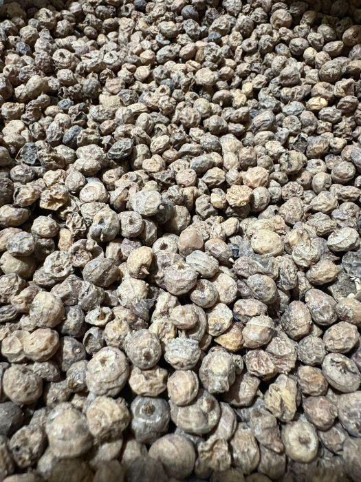 Alune Tigrate la sac 8mm, 25Kg [2]