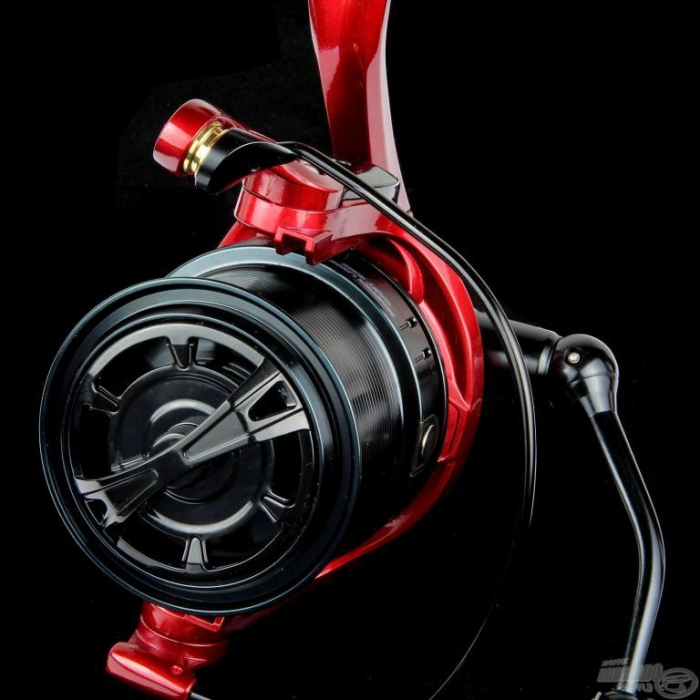 By Dome Mulineta Master Long Cast 6700 [3]