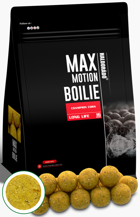 Haldorado Max Motion Boilie Long Life 16mm - Artar & Banana 800g [3]