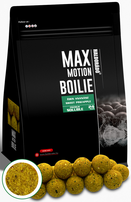 Haldorado Max Motion Boilie Premium Soluble 24mm - Cocos & Alune Tigrate 800g [3]
