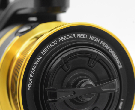 BY Dome Mulineta Gold Method FD [2]