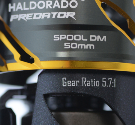 Haldorado Mulineta Predator Gold Travel Spin FD 4000 [6]