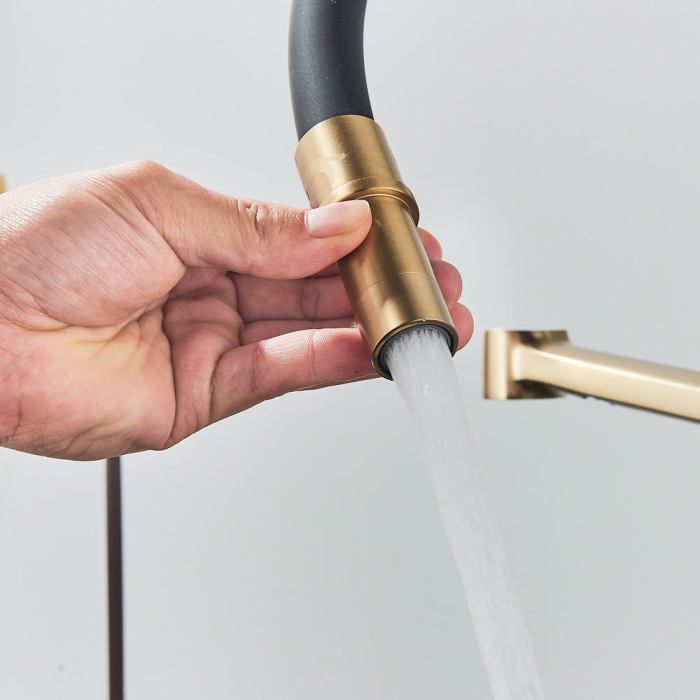 Baterie bucatarie pt. apa filtrata cu 2 cai negru/auriu [3]