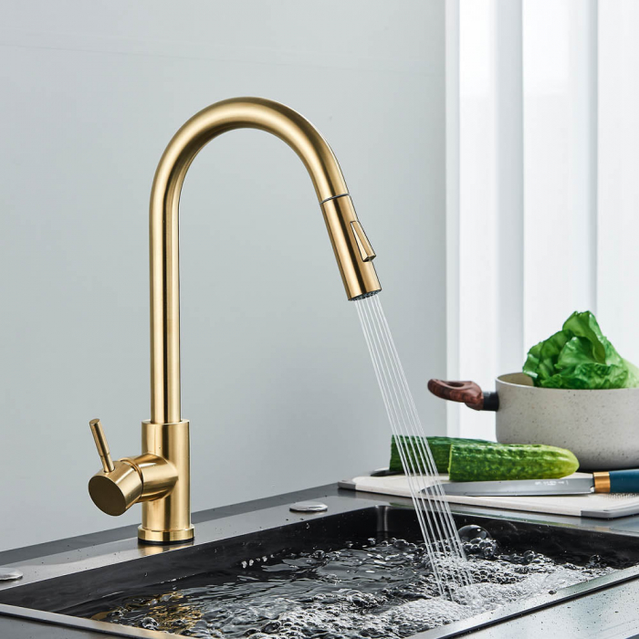 Baterie profesionala, cu senzor de pornire la atingere si dus extractibil [5]