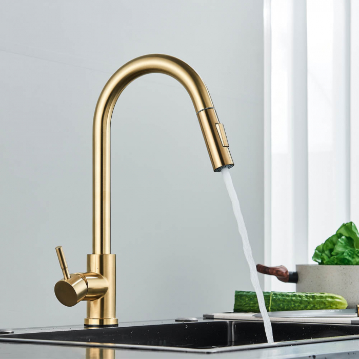 Baterie profesionala, cu senzor de pornire la atingere si dus extractibil [4]