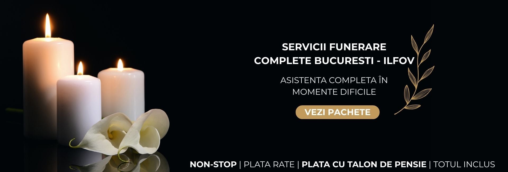 banner servicii desktop