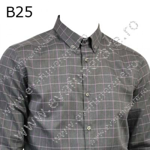 Optiuni produs - B25