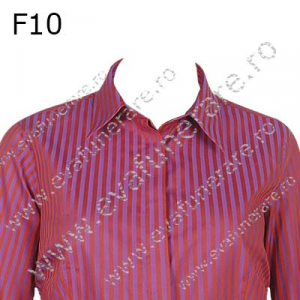Optiuni produs - F10