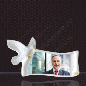 FOTOCERAMICA - Fotoceramica papirus porumbel
