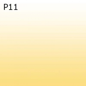 Optiuni produs - P11