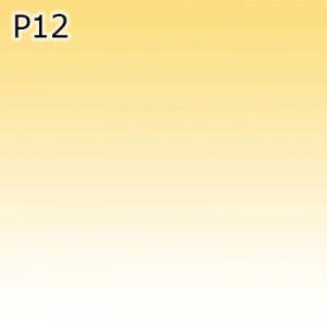 Optiuni produs - P12